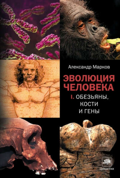 книга Эволюция человека. Марков Александр