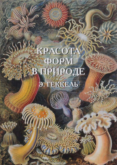 книга : "Красота форм в природе"   Эрнст Генрих Геккель