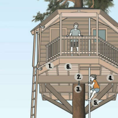 Build a tree house