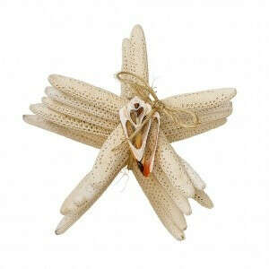 Finger Starfish Bundle w/ Cut Shell WHT 6pc 4-6