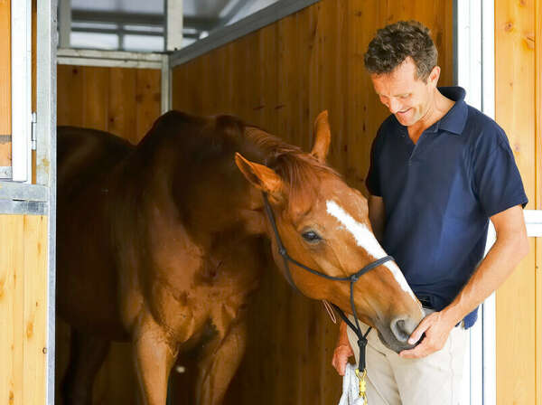 Посетить Luca Moneta Horsemanship Equestrian Centre в Уджате-Тревано (Италия)