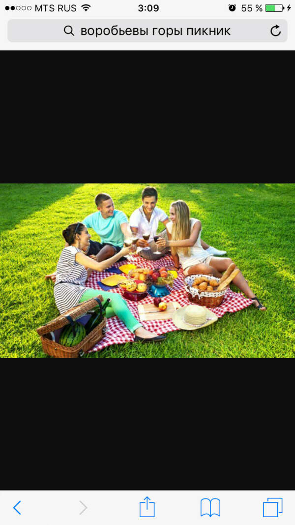 Утроить с друзьями пикник