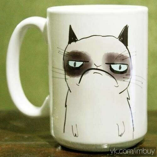 Чашку с недовольным котом))