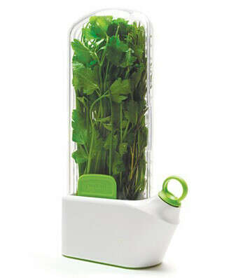 Контейнер для хранения зелени Salad - White