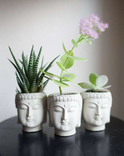 Buddha Head Planter