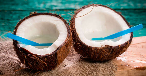 Первый раз попробовать кокос в тропической стране