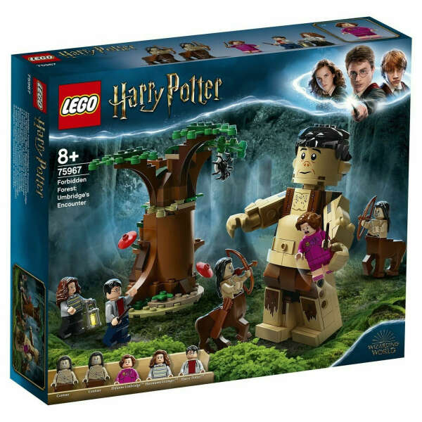 Конструктор LEGO Harry Potter / Лего Гарри Поттер Грохх и Долорес Амбридж / 75967