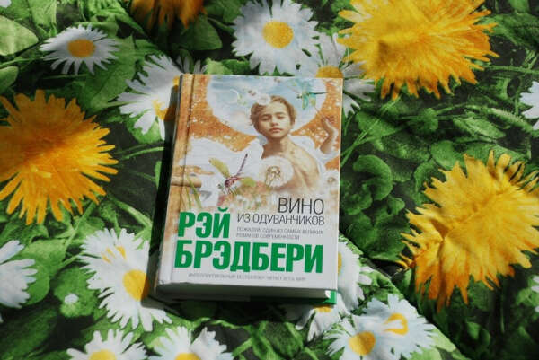 Прочесть книгу Рея Бредбери Вино из одуванчиков