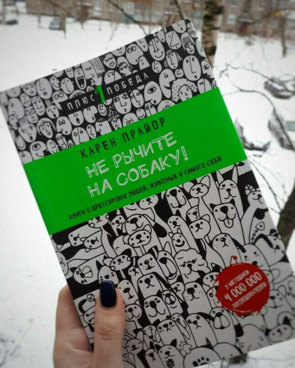 Не рычите на собаку! Книга о дрессировке людей, животных и самого себя!