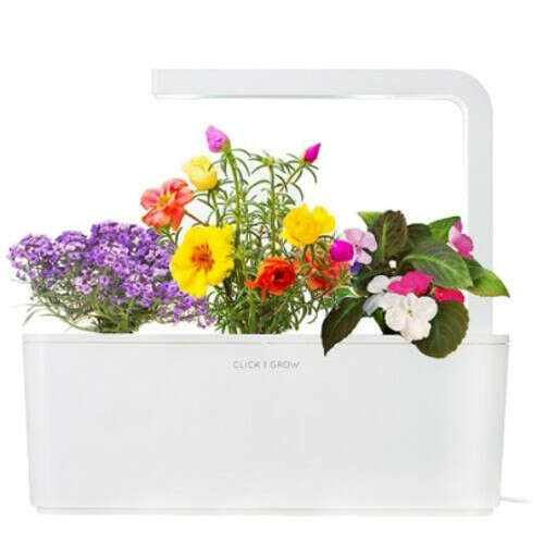 Купить умный сад click and grow цветы алиссум, петуния, бальзамин (белая крышка) в официальном интернет-магазине iCases.ru