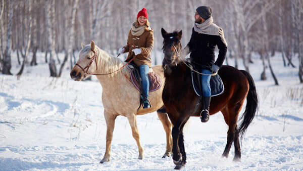 1 или 2 часа конной прогулки от частной конюшни «Эквилого»