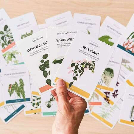 Набор карточек для садоводов от Another Studio