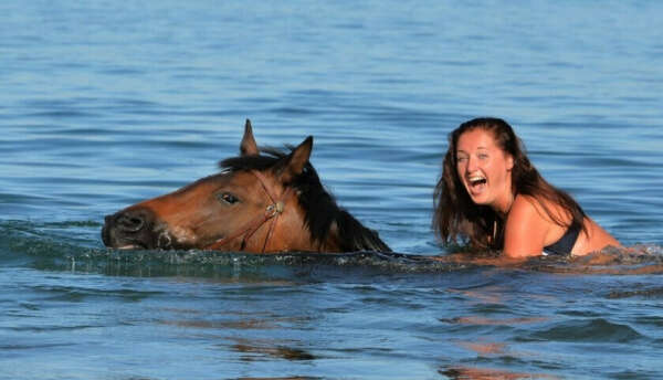 Поплавать на лошади