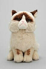 Grumpy Cat Plush Toy