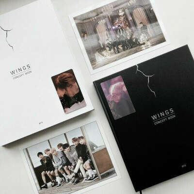 BTS Wings Concept Book