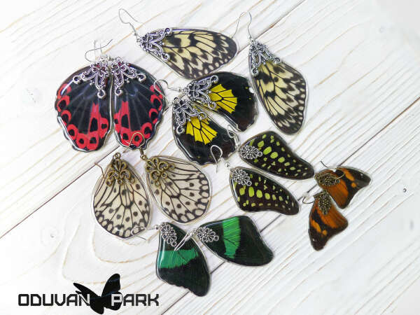 серьги-крылья бабочки
