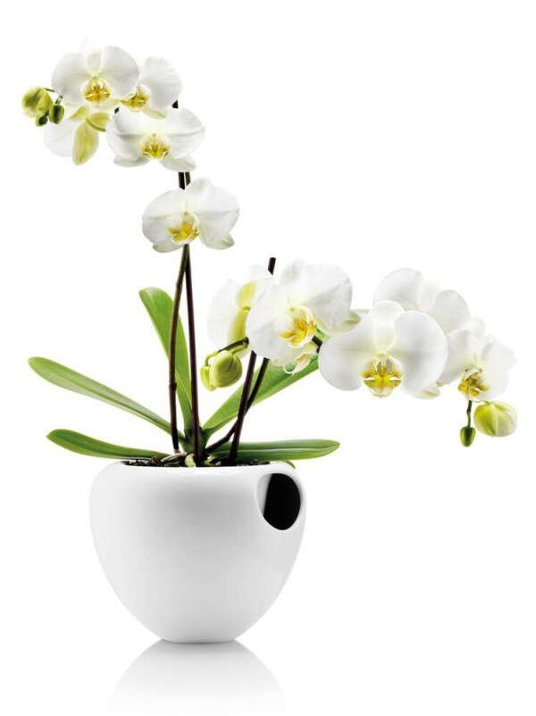 Горшок для орхидеи Orchid pot белый, Eva Solo