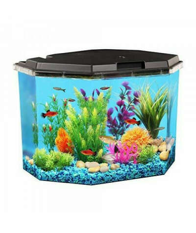 Buy Koller Products Fish Aquarium Kit With Power Filter, 6.5-Gallon | Petocart
