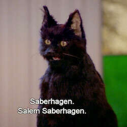 Salem as my own sarcastic cat.