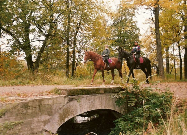 Конная прогулка