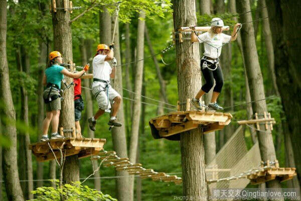 Сходить в веревочный парк Norway Park