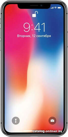 Apple iPhone X 64GB (серый космос)