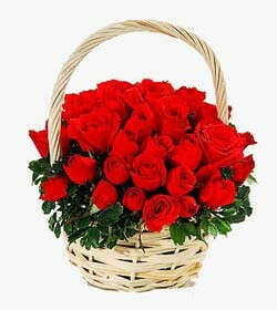 Two Dozen Roses Basket | Christmas Gift Hampers and Baskets Available at Best Price