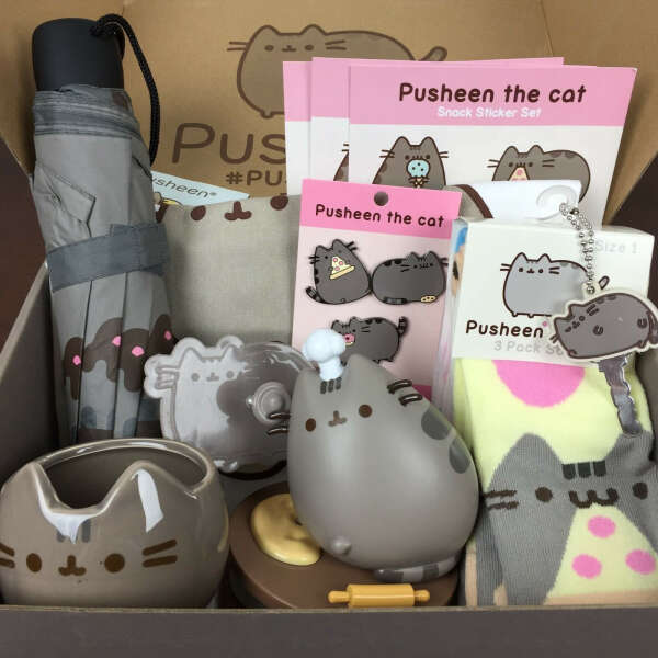 pusheen box