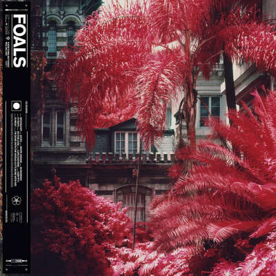 Foals - Everything not saved will be lost part 1 LP