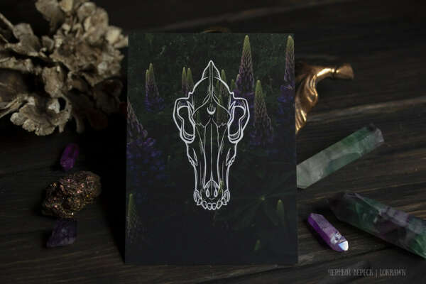 Авторская открытка «Артефакты темного леса. Череп волка»