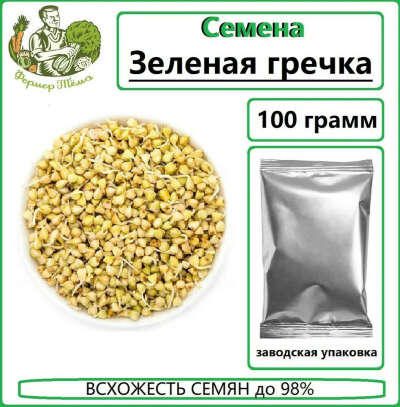 Семена для проращивания микрозелени "Зеленая гречка" 100 г