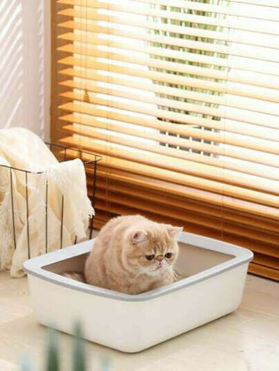 1шт Ящик для кошачьего туалета & 1шт Лопата
