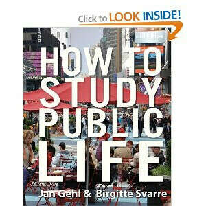 How to Study Public Life [Hardcover]
