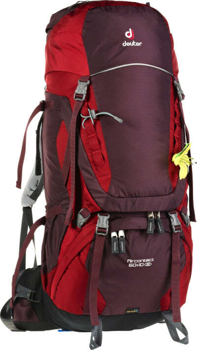 Рюкзак Deuter Aircontact 60+10 SL Aubergine/Cranberry