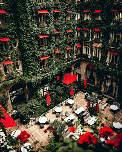 Хочу поселиться в Париже в Hotel Plaza Athenee