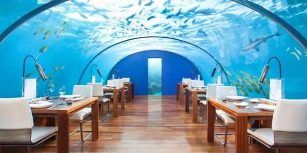 Обед в Ithaa Undersea Restaurant, Мальдивы