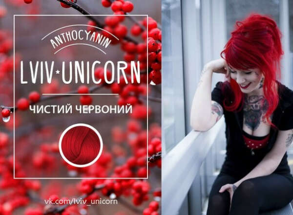 Anthocyanin Hair Dye R02