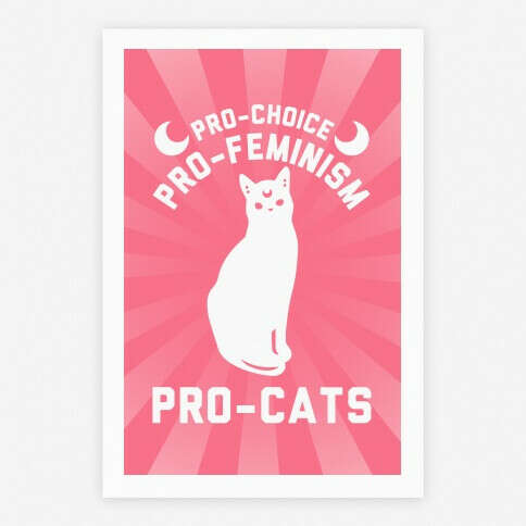 Pro-Choice Pro-Feminism Pro-Cats | HUMAN