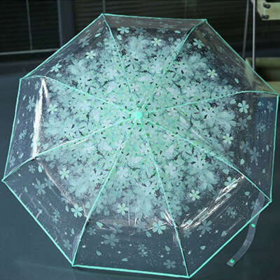 прозрачный зонт