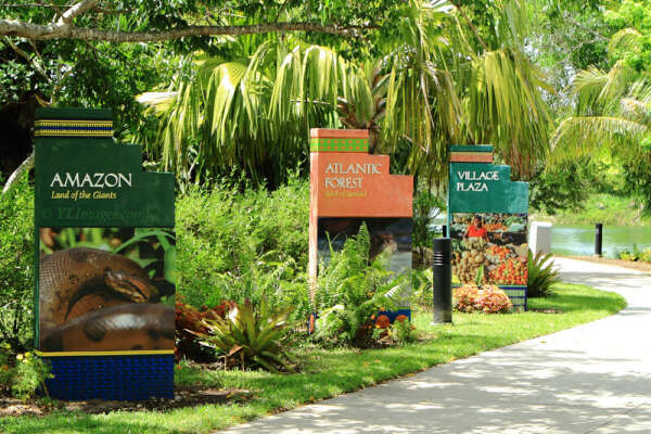 Zoo in Miami