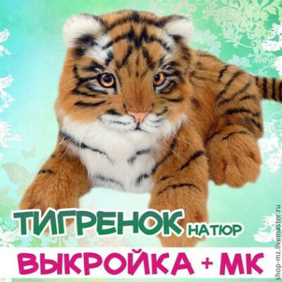 МК по котячьим