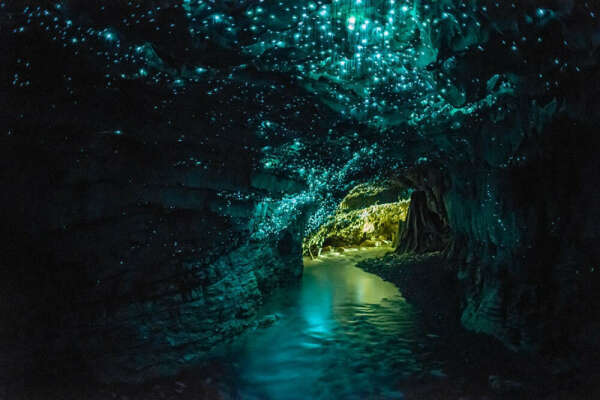 Пещера светлячков, Новая Зеландия