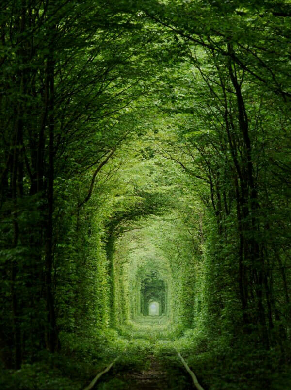 Visit the Tunnel of Love in Ukraine