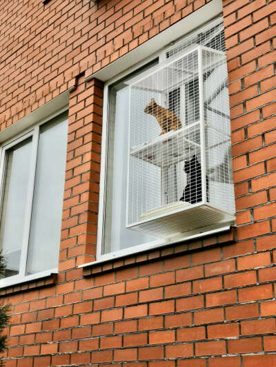 Балкон для кота