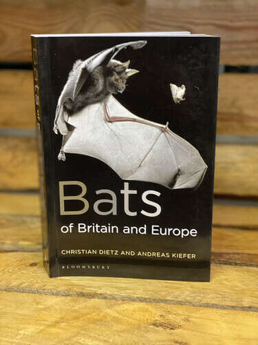 Bats of Britain and Europe: Dietz, Christian, Kiefer, Andreas