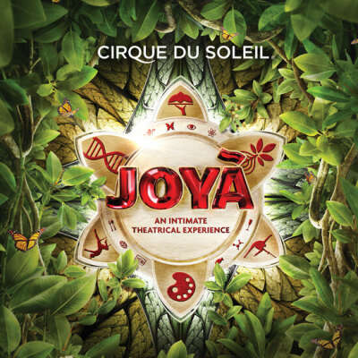 cirque du soleil espectaculo "Joya"