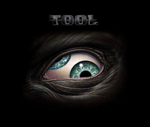 90`s Now Rock Stars > TOOL > футболка женская - Tool #7 | Рок футболки - огромный выбор. Рок толстовки. Футболки рок групп, Рок магазин, магазин рок-атрибутики, рок футболки оптом. Рок майки