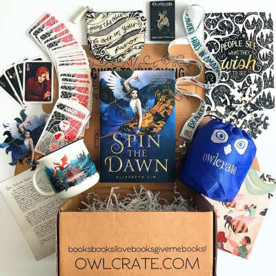 Посылка с книгами и ништячками от owlcrate