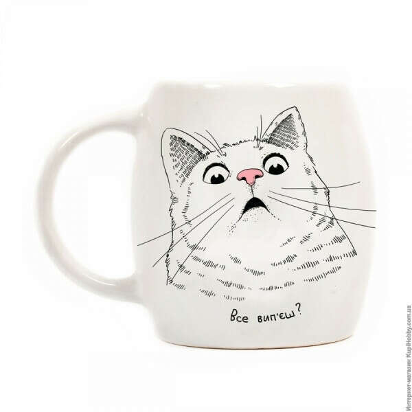 Чашка удивленный кот Все вип&#039;єш Orner store