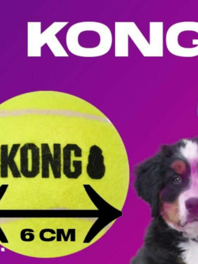 Игрушка Kong теннисный мячик 6 см 1 шт